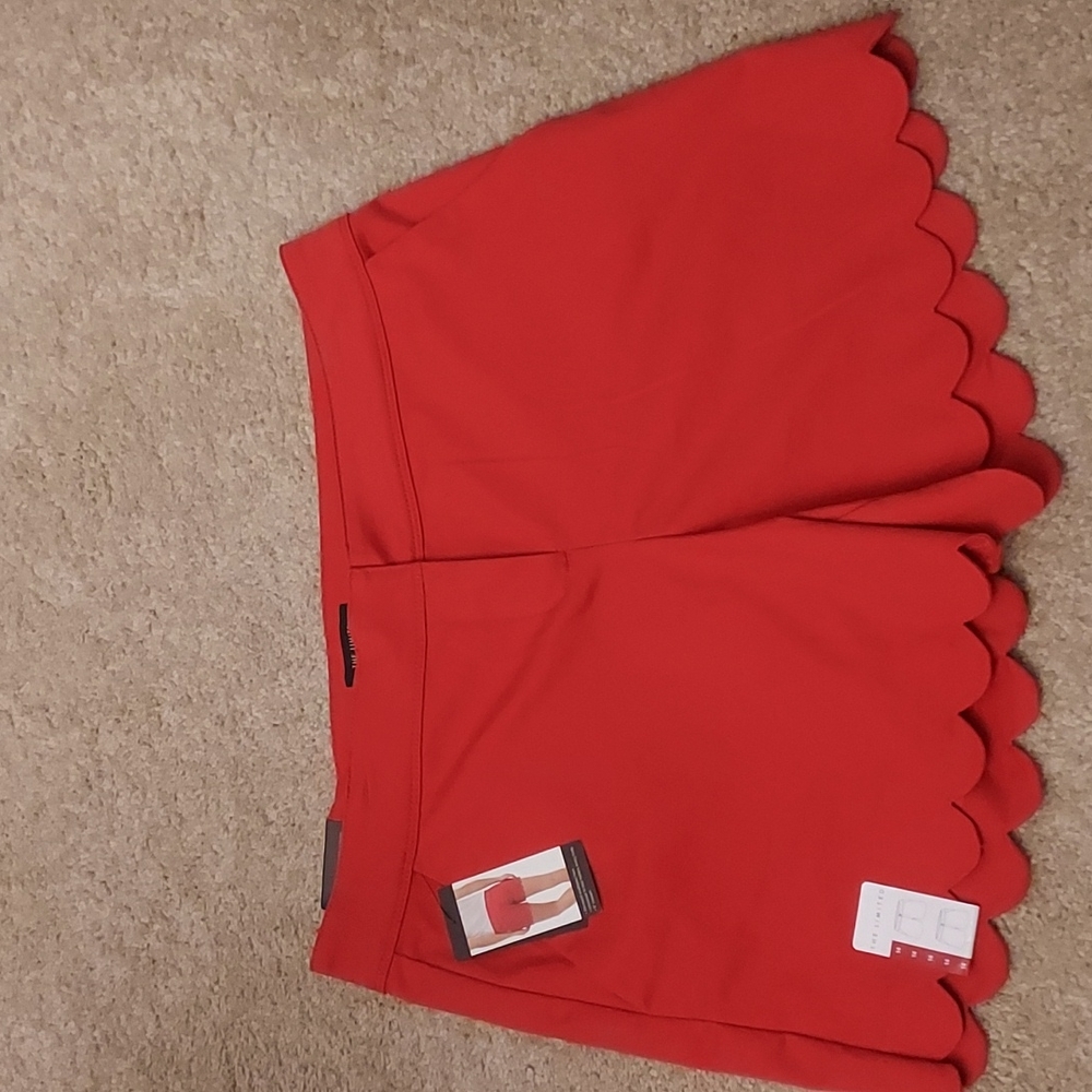 NWT  LIMITED SHORTS